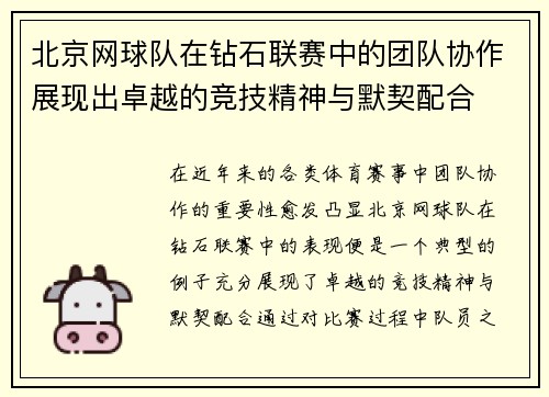 北京网球队在钻石联赛中的团队协作展现出卓越的竞技精神与默契配合